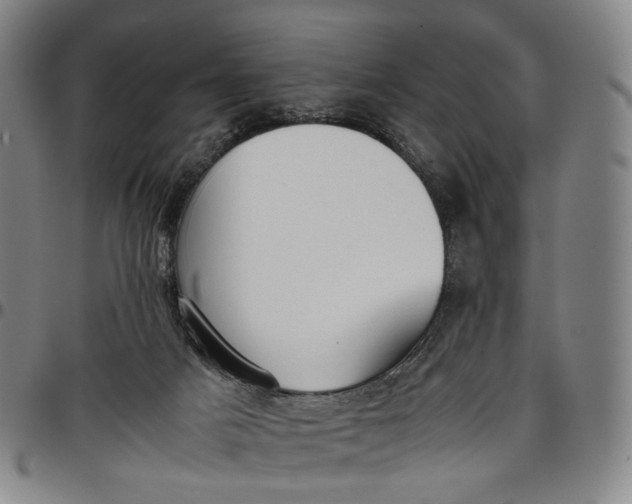 X0000096650025200802191253