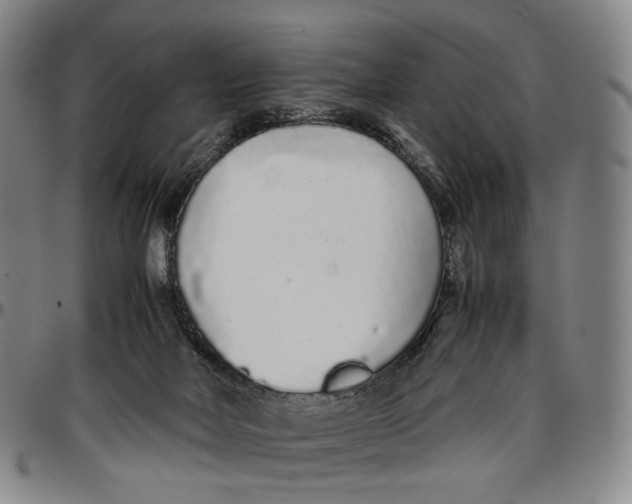 X0000096650026200802191253