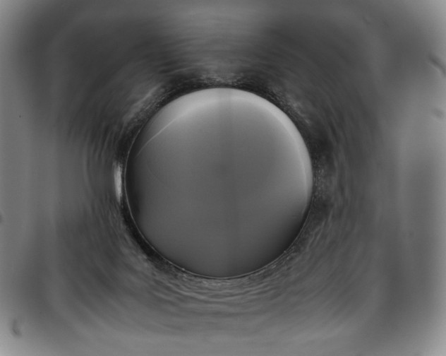 X0000096650027200802191253