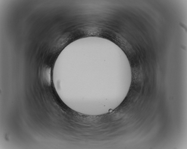 X0000096650028200802191253