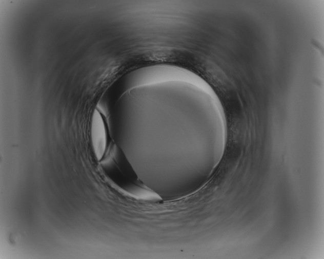 X0000096650031200802191253