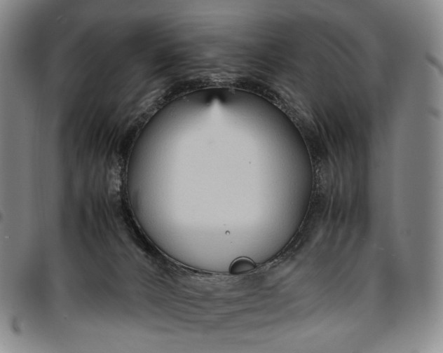 X0000096650032200802191253