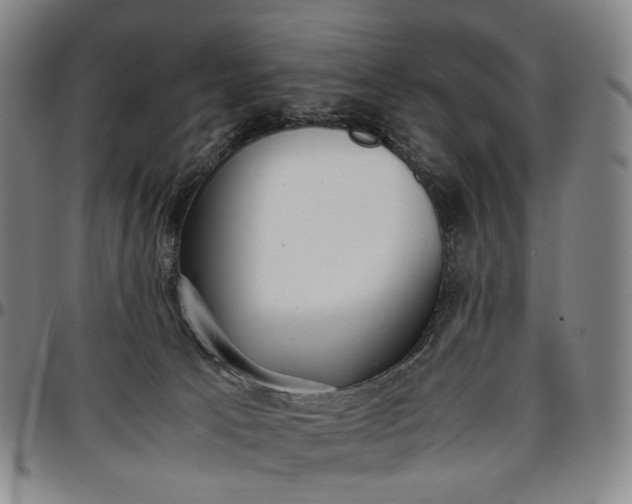 X0000096650033200802191253