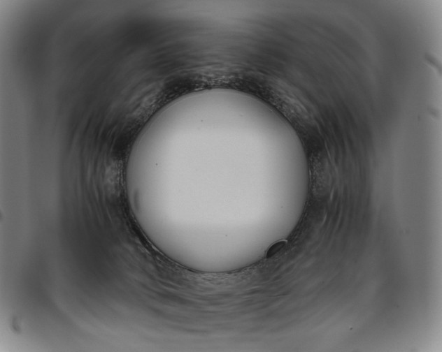 X0000096650034200802191253