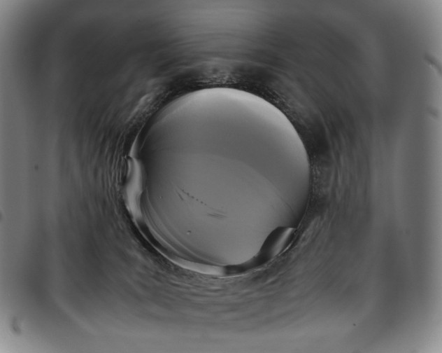 X0000096650035200802191253