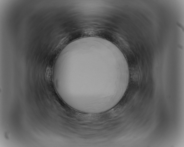 X0000096650036200802191253