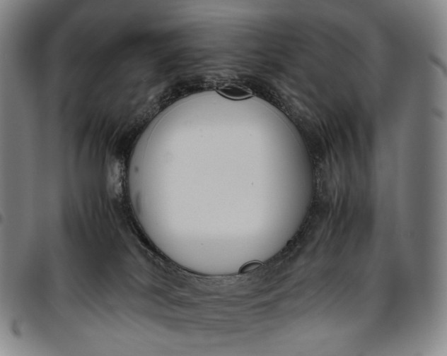 X0000096650038200802191253