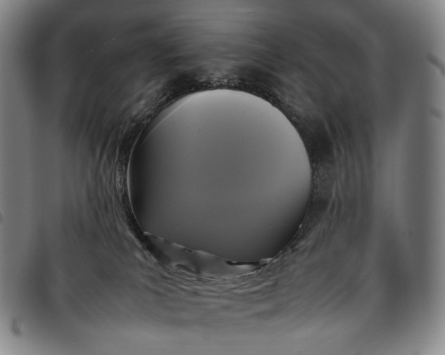 X0000096650039200802191253