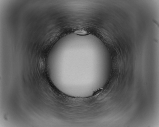 X0000096650040200802191253