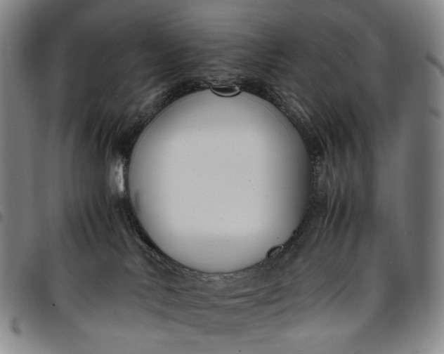 X0000096650042200802191253