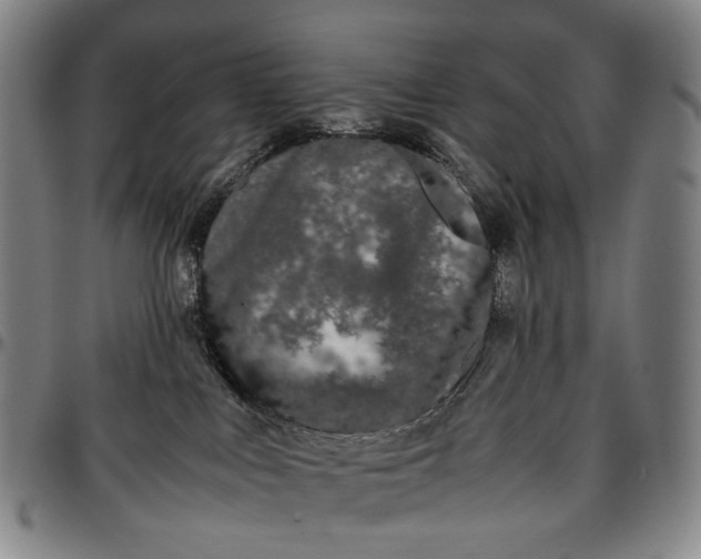 X0000096650043200802191253