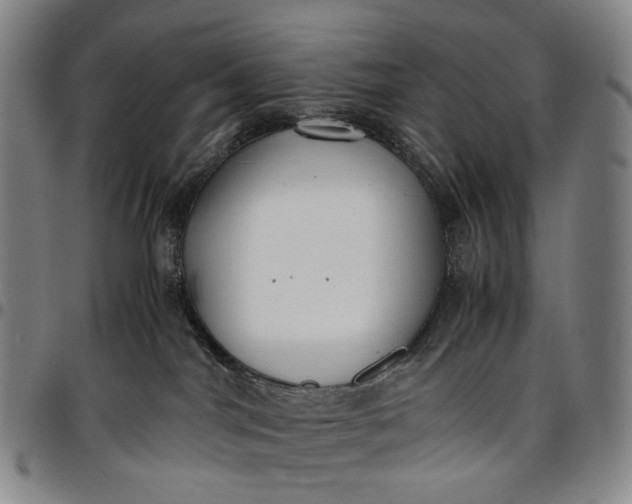 X0000096650044200802191253