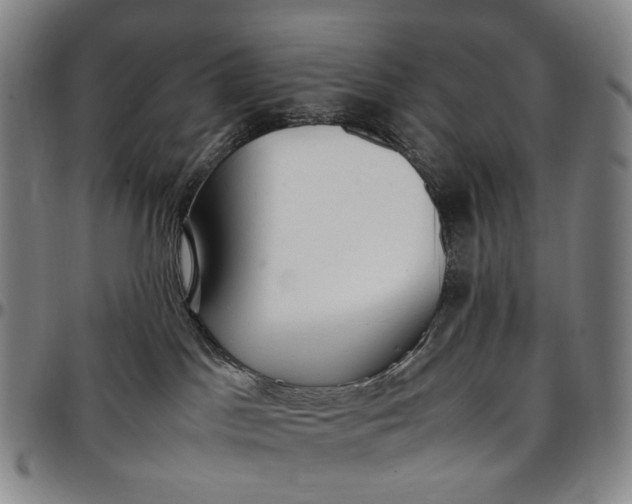 X0000096650045200802191253