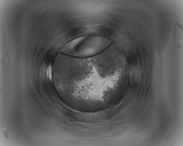 X0000096650046200802191253