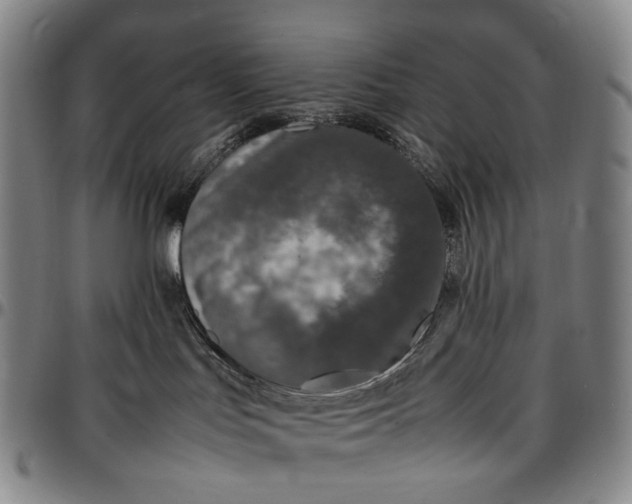 X0000096650047200802191253