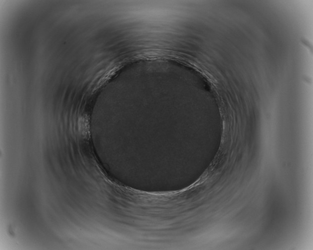 X0000096650048200802191253