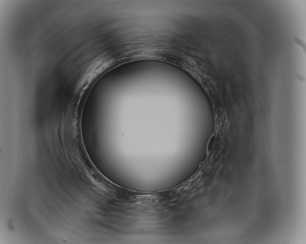 X0000096650050200802191252