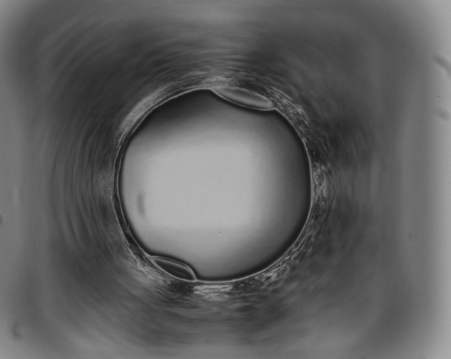 X0000096650051200802191252