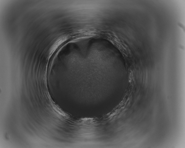 X0000096650052200802191252