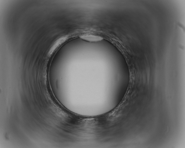 X0000096650054200802191252