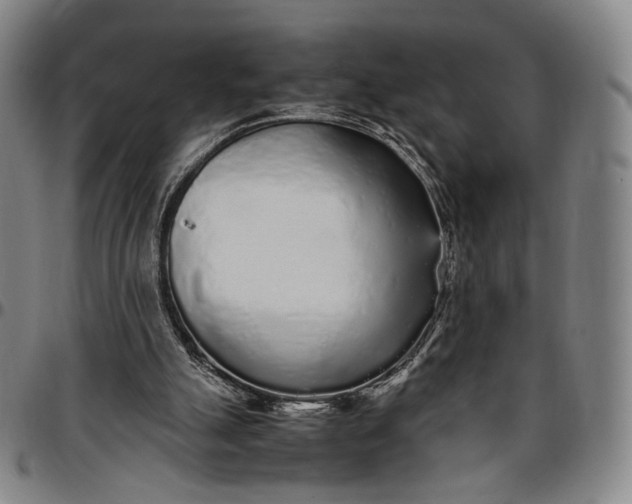 X0000096650055200802191252