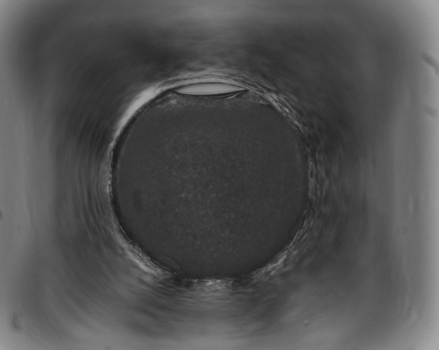 X0000096650056200802191252