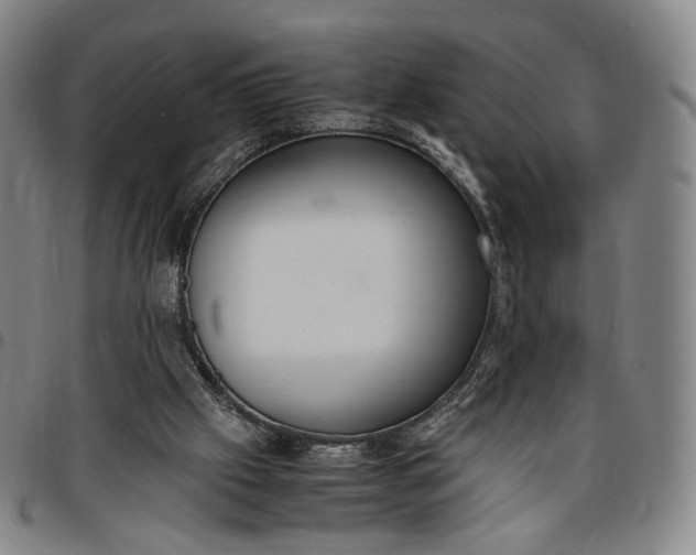 X0000096650057200802191252