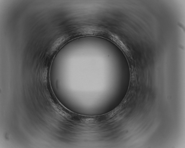 X0000096650058200802191252