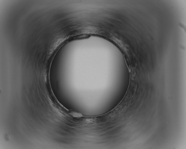 X0000096650060200802191252