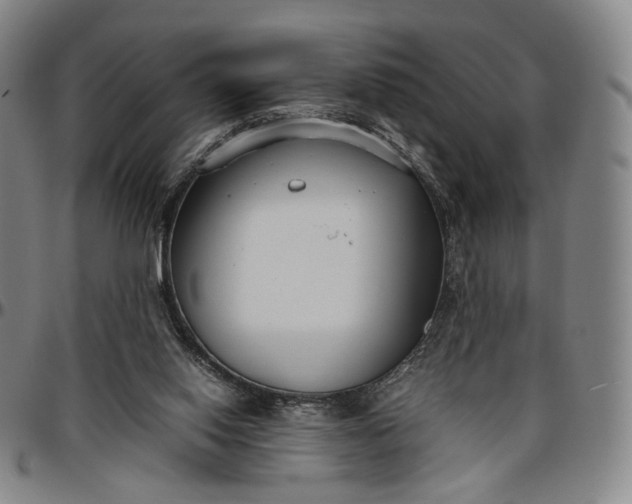 X0000096650062200802191252