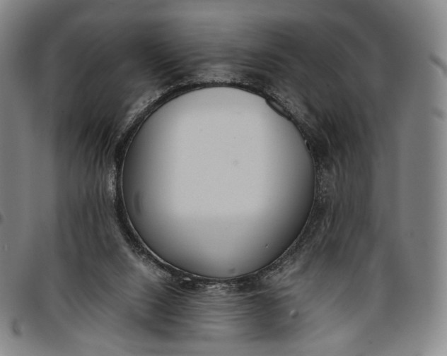 X0000096650064200802191252