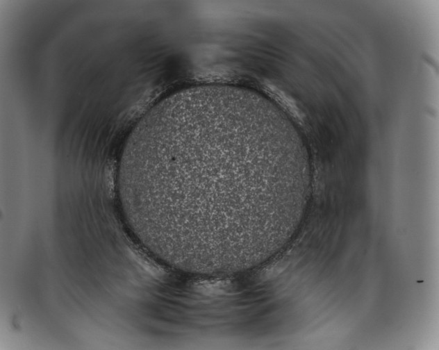 X0000096650065200802191252