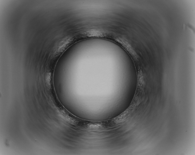 X0000096650066200802191252