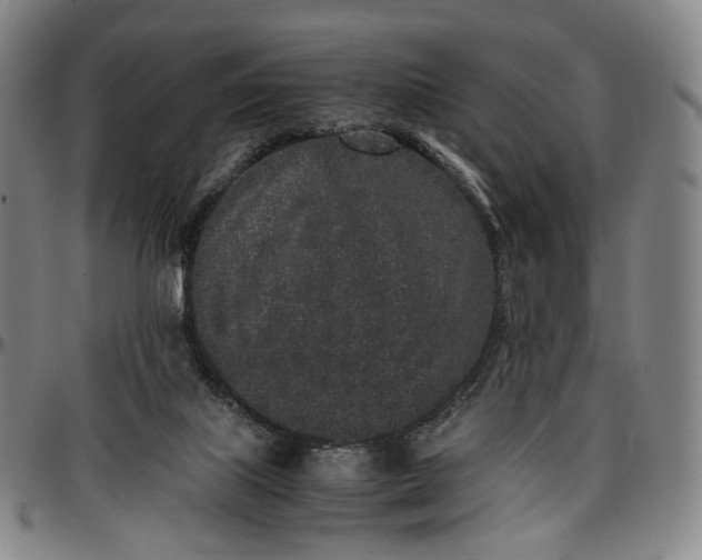 X0000096650067200802191252