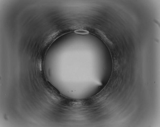 X0000096650068200802191252