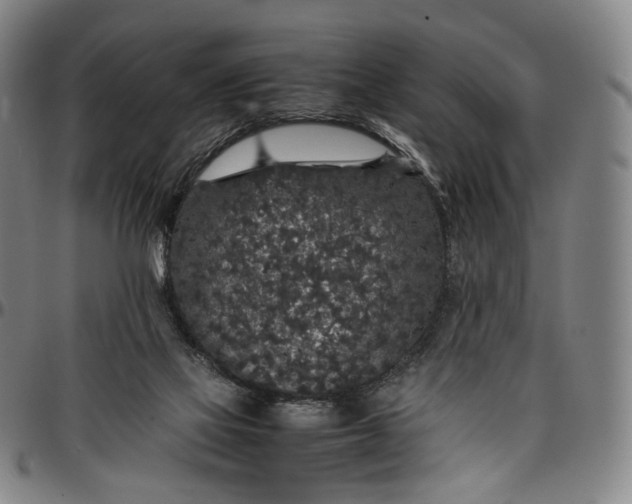 X0000096650069200802191252