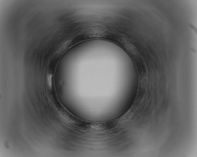 X0000096650070200802191252