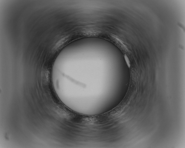 X0000096650071200802191252