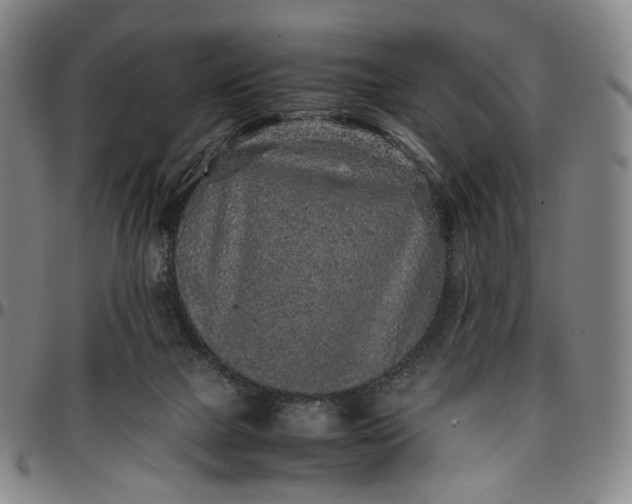 X0000096650073200802191252