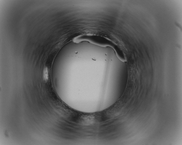 X0000096650075200802191252