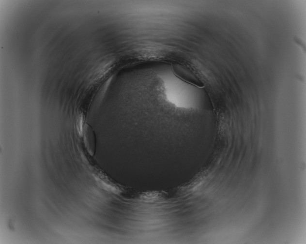 X0000096650076200802191252