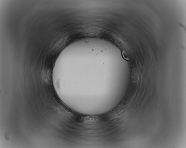 X0000096650077200802191252