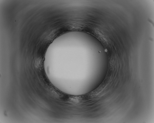 X0000096650079200802191253