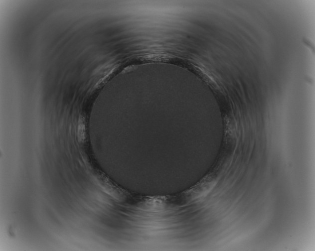 X0000096650080200802191253