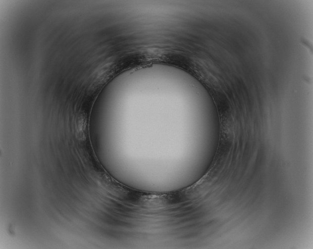 X0000096650082200802191253