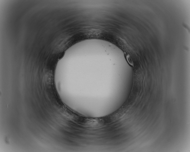 X0000096650083200802191253