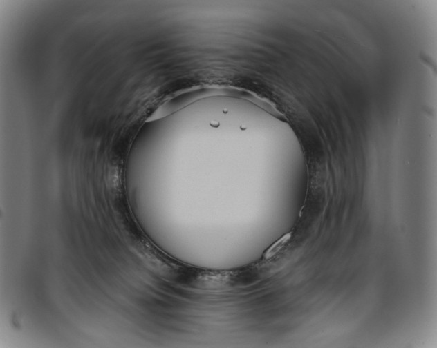 X0000096650084200802191253