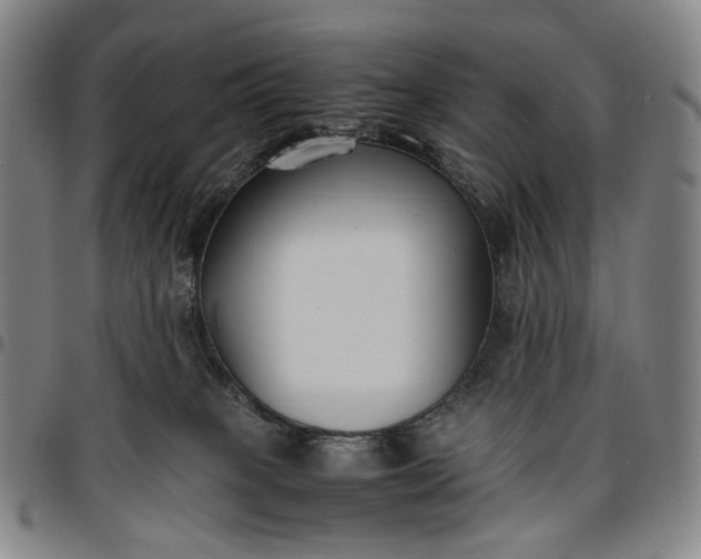 X0000096650085200802191253