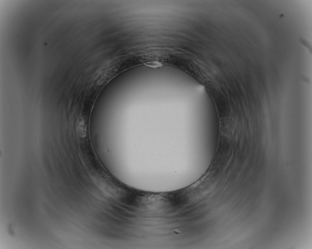 X0000096650086200802191253