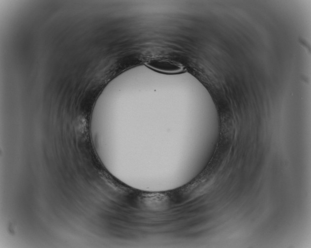 X0000096650087200802191253